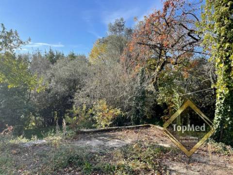 Quinta com 3 casas para restauro em Ribeiros - FAFE