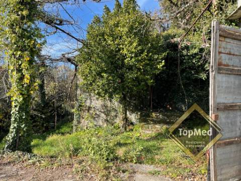 Quinta com 3 casas para restauro em Ribeiros - FAFE