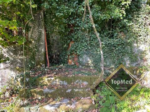 Quinta com 3 casas para restauro em Ribeiros - FAFE