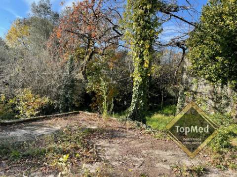 Quinta com 3 casas para restauro em Ribeiros - FAFE