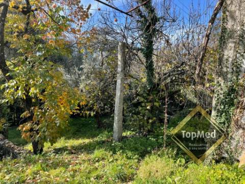 Quinta com 3 casas para restauro em Ribeiros - FAFE