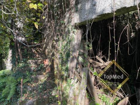Quinta com 3 casas para restauro em Ribeiros - FAFE