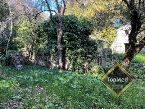 Quinta com 3 casas para restauro em Ribeiros - FAFE