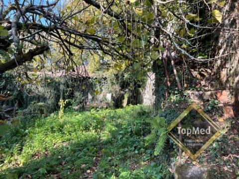 Quinta com 3 casas para restauro em Ribeiros - FAFE