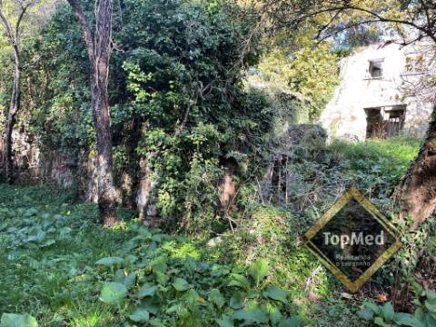 Quinta com 3 casas para restauro em Ribeiros - FAFE