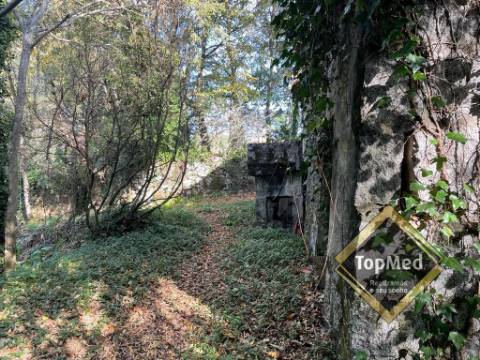 Quinta com 3 casas para restauro em Ribeiros - FAFE