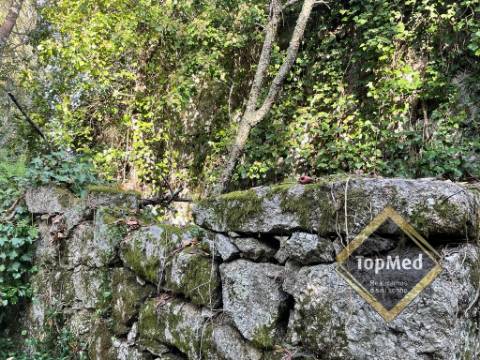 Quinta com 3 casas para restauro em Ribeiros - FAFE