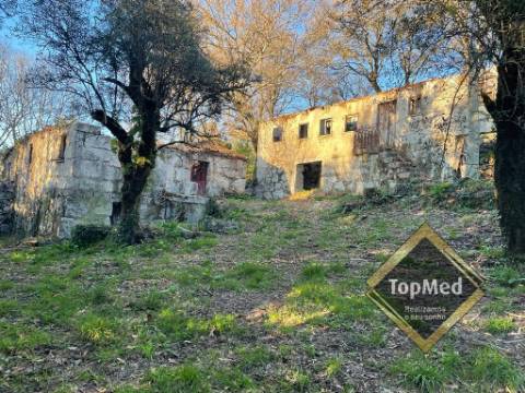 Quinta com 3 casas para restauro em Ribeiros - FAFE