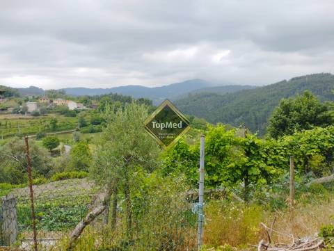 Moradia para restauro situada na região de Vieira do Minho,