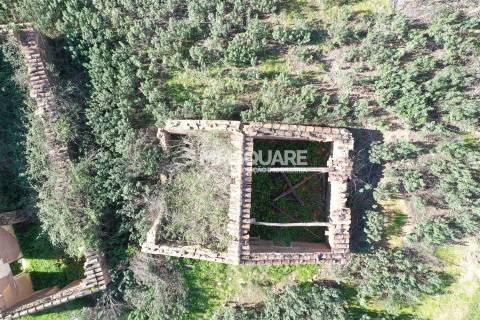 Herdade  Venda em Santana da Serra,Ourique