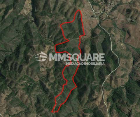 Herdade  Venda em Santana da Serra,Ourique