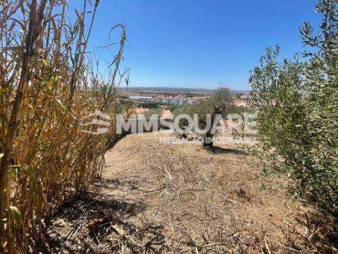 Terreno Para Construção  Venda em Ourique,Ourique