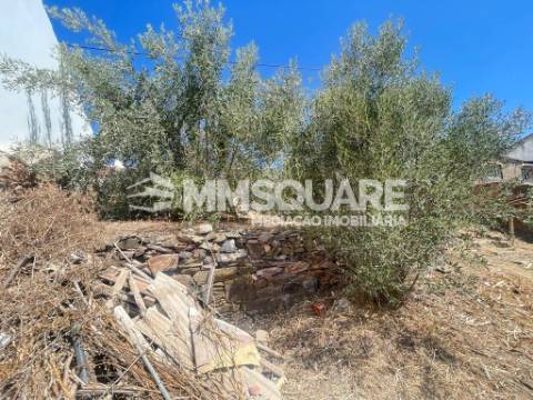 Terreno Para Construção  Venda em Ourique,Ourique