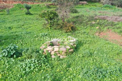 Quintinha  Venda em Garvão e Santa Luzia,Ourique