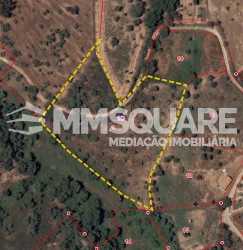 Quintinha  Venda em Garvão e Santa Luzia,Ourique