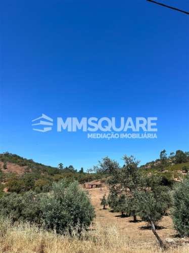 Quintinha  Venda em Garvão e Santa Luzia,Ourique