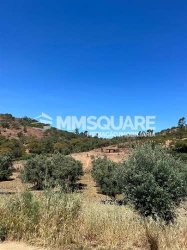 Quintinha  Venda em Garvão e Santa Luzia,Ourique