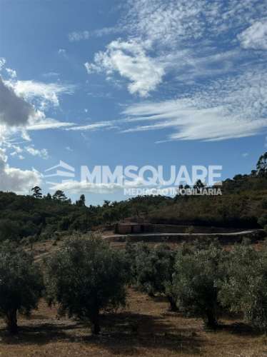 Quintinha  Venda em Garvão e Santa Luzia,Ourique