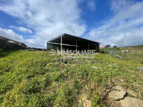 Herdade T2 Venda em Ourique,Ourique