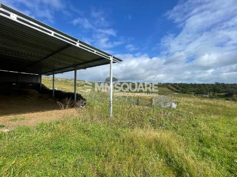 Herdade T2 Venda em Ourique,Ourique