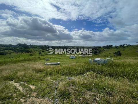 Herdade T2 Venda em Ourique,Ourique