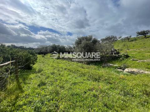 Herdade T2 Venda em Ourique,Ourique