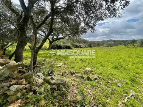 Herdade T2 Venda em Ourique,Ourique