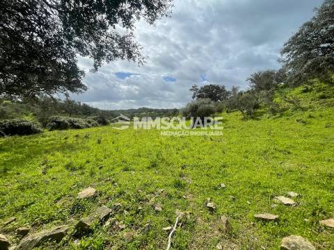 Herdade T2 Venda em Ourique,Ourique