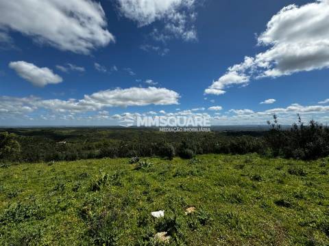 Moradia Rústica T1 Venda em São Martinho das Amoreiras,Odemira