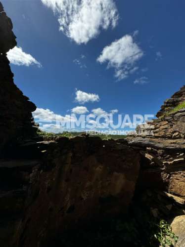 Moradia Rústica T1 Venda em São Martinho das Amoreiras,Odemira