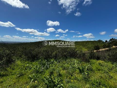 Moradia Rústica T1 Venda em São Martinho das Amoreiras,Odemira