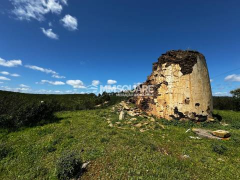 Moradia Rústica T1 Venda em São Martinho das Amoreiras,Odemira