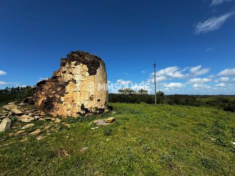 Moradia Rústica T1 Venda em São Martinho das Amoreiras,Odemira