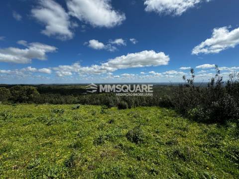 Moradia Rústica T1 Venda em São Martinho das Amoreiras,Odemira