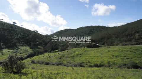 Herdade T2 Venda em Santana da Serra,Ourique