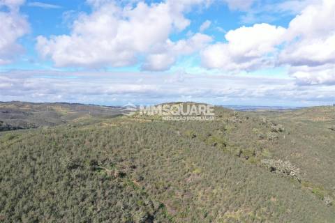 Herdade T2 Venda em Santana da Serra,Ourique