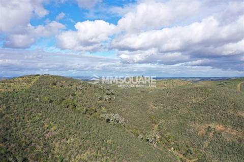Herdade T2 Venda em Santana da Serra,Ourique