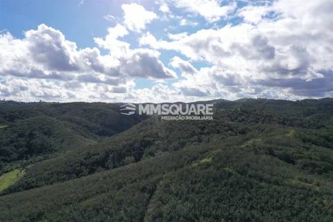 Herdade T2 Venda em Santana da Serra,Ourique