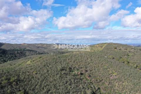 Herdade T2 Venda em Santana da Serra,Ourique