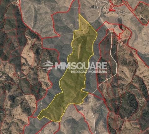 Herdade T2 Venda em Santana da Serra,Ourique