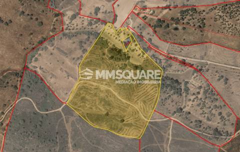 Quintinha T3 Venda em Santana da Serra,Ourique