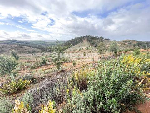 Quintinha T3 Venda em Santana da Serra,Ourique