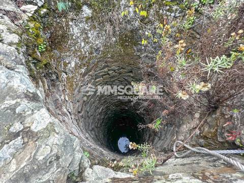 Quintinha T3 Venda em Santana da Serra,Ourique