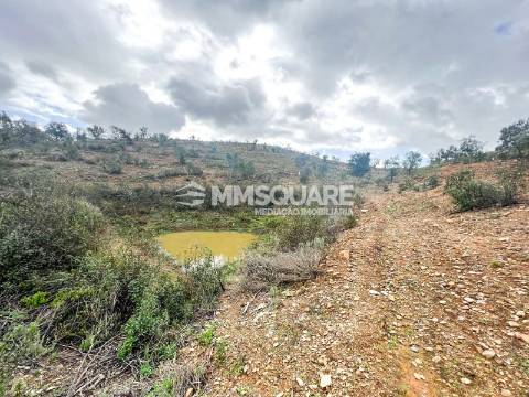 Quintinha T3 Venda em Santana da Serra,Ourique