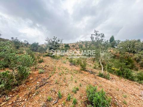 Quintinha T3 Venda em Santana da Serra,Ourique