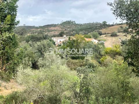 Quintinha T3 Venda em Santana da Serra,Ourique