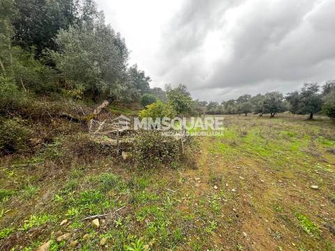 Quintinha T3 Venda em Santana da Serra,Ourique