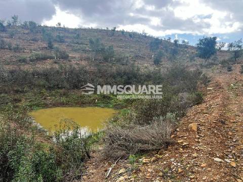 Quintinha T3 Venda em Santana da Serra,Ourique