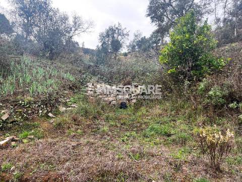 Quintinha T3 Venda em Santana da Serra,Ourique