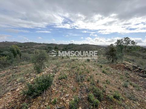 Quintinha T3 Venda em Santana da Serra,Ourique